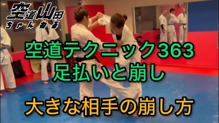 【武道】空道テクニック363「足払いと崩し」【格闘技】