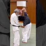 正中線Center line#合気道 #aikido #karate #martialarts #aikidotechniques #aikidolife #武術