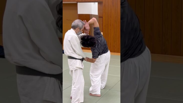 正中線Center line#合気道 #aikido #karate #martialarts #aikidotechniques #aikidolife #武術