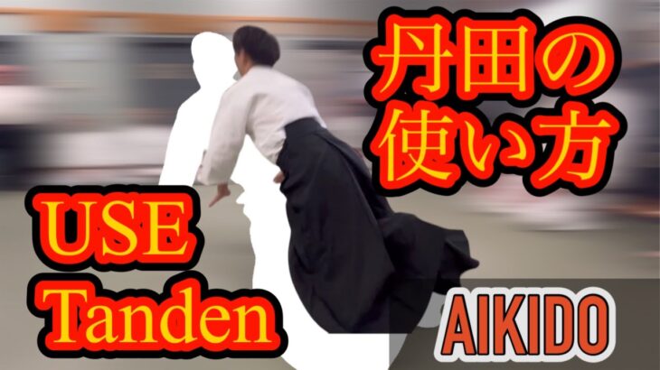 簡単に丹田を使う方法【合気道】/Easy way to use the tanden【aikido】