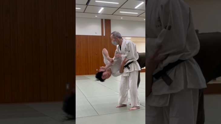 天地投げTenchinage #aikido #martialarts #aikidotechniques #aikidolife #合気道 #武道