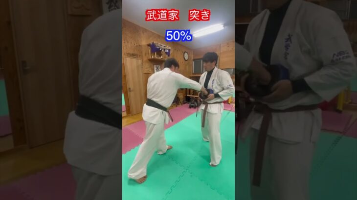 【武道・武術】武道家の本気のパンチ　打ち込んでみた　解説！！　#aikido ＃karate #martial #合気道 #武道 #空手＃筋トレ#selfdefense