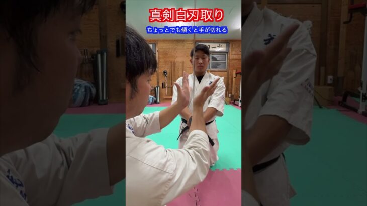 【武道・武術】真剣白刃取りは本当にできるのか！？　解説！！　#aikido ＃karate #martial #合気道 #武道 #空手＃筋トレ#selfdefense