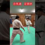 【武道・武術】合気道の足捌き各種　解説！！　#aikido ＃karate #martial #合気道 #武道 #空手＃筋トレ#selfdefense