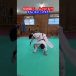 【武道・武術】合気道　塩田剛三がよくやる技　解説！！　#aikido ＃karate #martial #合気道 #武道 #空手＃筋トレ#selfdefense