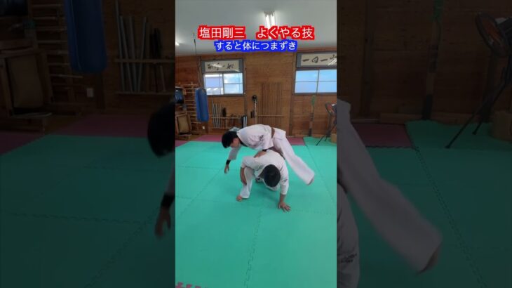 【武道・武術】合気道　塩田剛三がよくやる技　解説！！　#aikido ＃karate #martial #合気道 #武道 #空手＃筋トレ#selfdefense