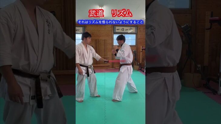 【武道・格闘技】リズムの存在とリズムの使い方　解説！！　#aikido ＃karate #martial #合気道 #武道 #空手＃筋トレ#selfdefense