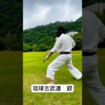 琉球古武道釵　#琉球古武術 #琉球空手 #空手道 #karate