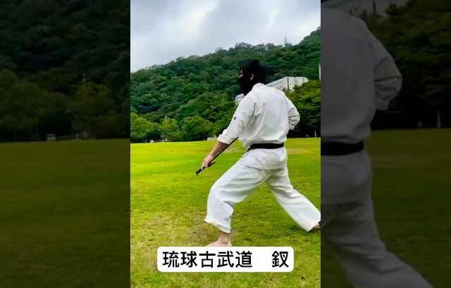 琉球古武道釵　#琉球古武術 #琉球空手 #空手道 #karate