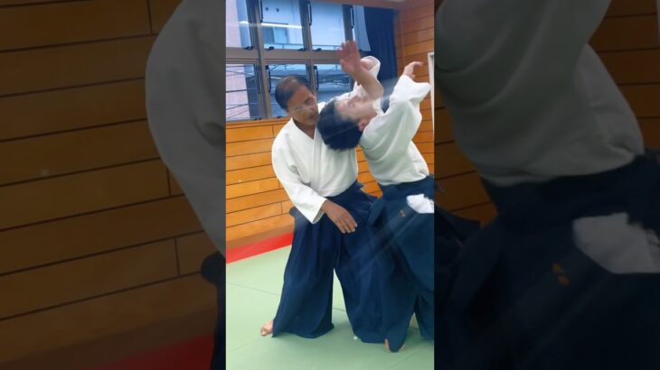 せせらぎ合気道③      #合気道 #martialarts #武道 #aikido