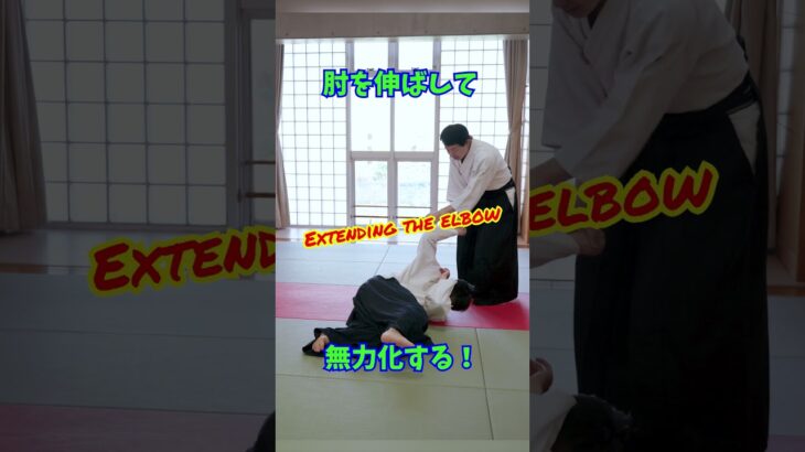 【小手返】手が刀に変わる⁉肘を伸ばして動きを止める　#martialarts #大東流合気柔術 #扶桑会 #合気道 #護身術 #aikido  #daitoryu #karate #古武道