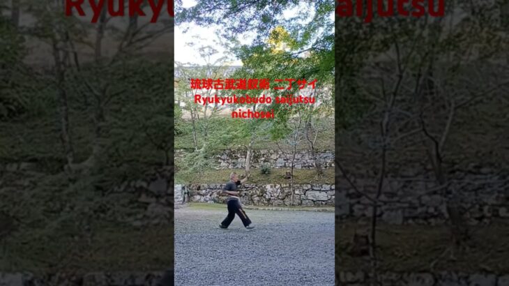 琉球古武道釵術 二丁サイ　ryukyukobudo saijutsu nichosai       忍者 ninja  京都 kyoto