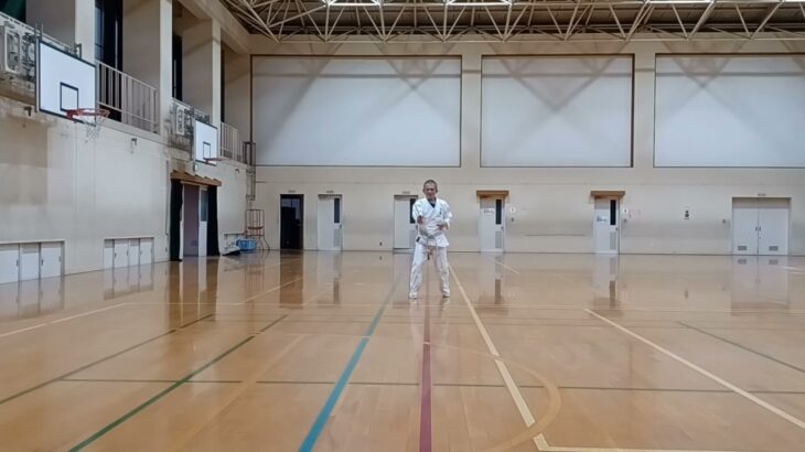 琉球古武道釵術 移動基本　ryukyukobudo saijutsu 忍者 ninja  京都 kyoto