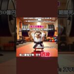 🥋琉球古武道釵術/沖縄剛柔流空手道 七段 松尾十蔵🆚🦔地上最強生物 空手百段ハリネズミ(ねこちゃん)