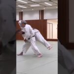 合気道の投げ技Aikido’s throw technique #合気道 #aikidotechniques #aikido #martialarts #aikidolife #武道