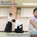 Meishinryu Aikido techniques 明真流　合気道の稽古 #aikido #合気道 #天照会　2024 1112 01