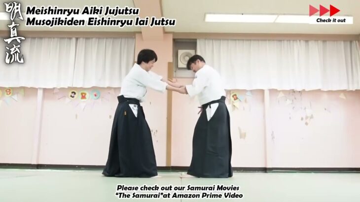 Meishinryu Aikido techniques 明真流　合気道の稽古 #aikido #合気道 #天照会　2024 1121 01