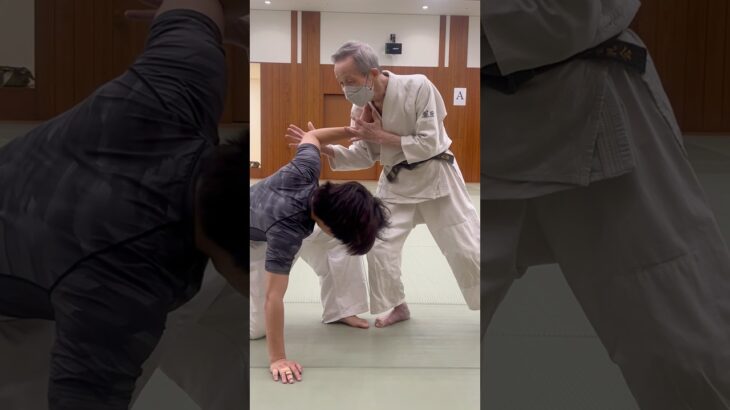 二教Nikkyo#aikido #合気道 #martialarts #aikidotechniques #japanesemartialarts #combatsport #budo