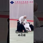 両羽固/Ryohagatame　　#大東流合気柔術 #大東流 #合気道 #martialarts #Daitoryu #aikido #shorts