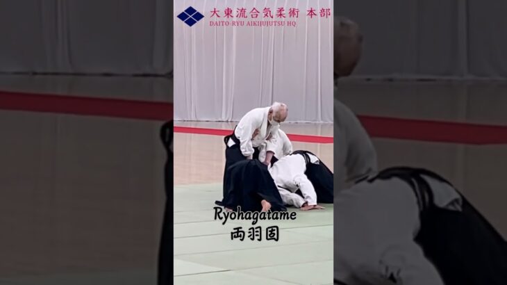 両羽固/Ryohagatame　　#大東流合気柔術 #大東流 #合気道 #martialarts #Daitoryu #aikido #shorts