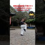 琉球古武道釵術 千原のサイ　Ryukyukobudo saijutsu shimbaru no sai 　忍者 ninja  京都 kyoto