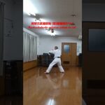 琉球古武道釵術 (型)屋嘉阿のサイ　　Ryukyukobudo saijutsu yakaa no sai忍者 ninja  京都 kyoto 　　