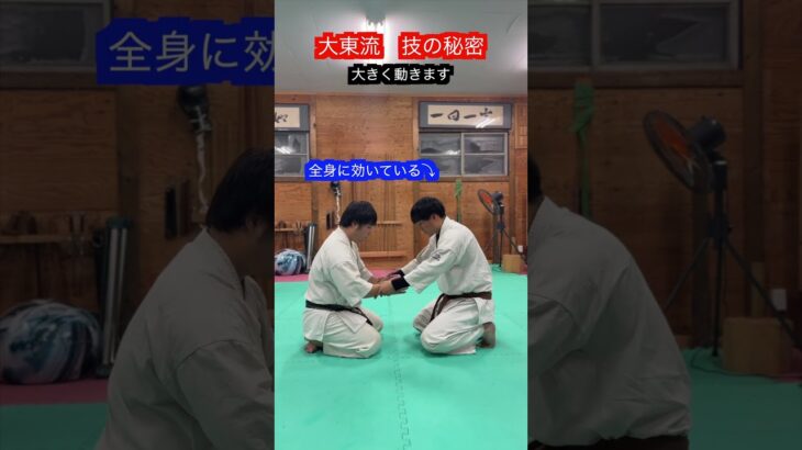 【大東流合気柔術】神業にも見える技の秘密　解説！！　#aikido ＃karate #martial #武道 ＃#空手＃合気道＃筋トレ#selfdefens