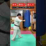 【武道・格闘技】体幹の瞬発力を鍛えるための方法と考え方！！　#aikido ＃karate #martial #武道 ＃#空手＃合気道＃筋トレ#selfdefens