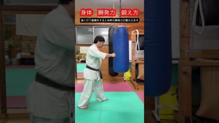 【武道・格闘技】体幹の瞬発力を鍛えるための方法と考え方！！　#aikido ＃karate #martial #武道 ＃#空手＃合気道＃筋トレ#selfdefens