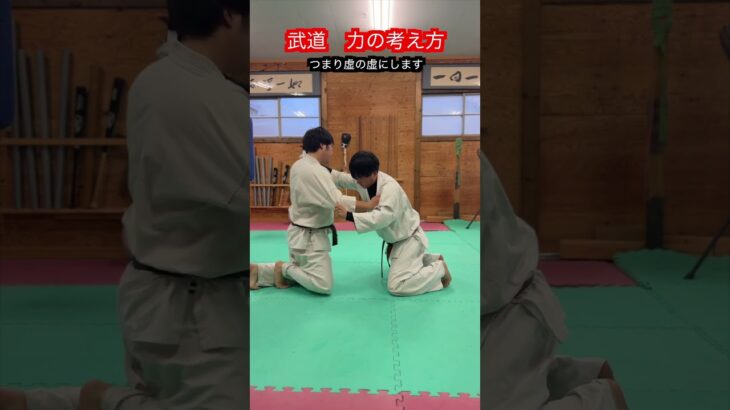 【武道・武術】力の考え方　虚と実！！　#aikido ＃karate #martial #武道 ＃#空手＃合気道＃筋トレ#selfdefens