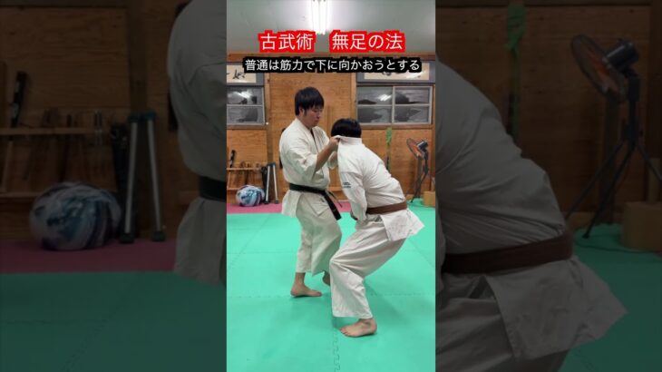 【古武術】より速く強く動けるようになる足の使い方　無足の法！！　#aikido ＃karate #martial #武道 ＃#空手＃筋トレ#selfdefens＃柔道