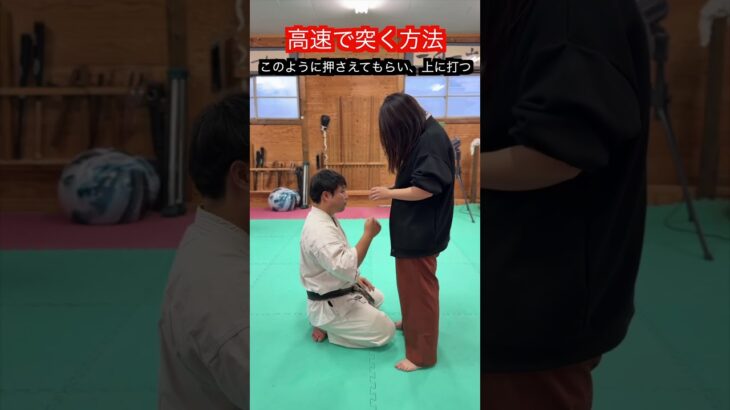 【武道・武術】高速で突きを打つための考え方と練習方法！！　#aikido ＃karate #martial #武道 ＃#空手＃合気道＃筋トレ#selfdefens