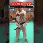 【武道・武術】伝説の空手家　大山倍達の正拳突き　解説！！　#aikido ＃karate #martial #武道 ＃#空手＃合気道＃筋トレ#selfdefens