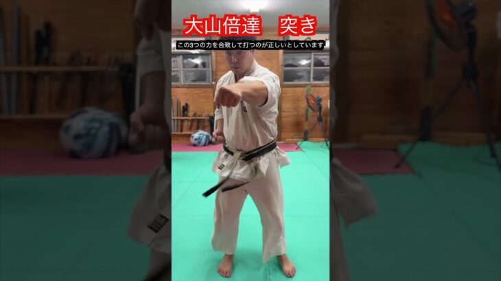 【武道・武術】伝説の空手家　大山倍達の正拳突き　解説！！　#aikido ＃karate #martial #武道 ＃#空手＃合気道＃筋トレ#selfdefens