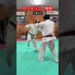 【武道・格闘技】意外とあるローキックの種類　解説！！　#aikido ＃karate #martial #武道 ＃#空手＃筋トレ#selfdefens＃柔道