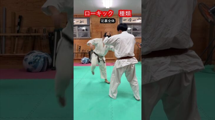 【武道・格闘技】意外とあるローキックの種類　解説！！　#aikido ＃karate #martial #武道 ＃#空手＃筋トレ#selfdefens＃柔道