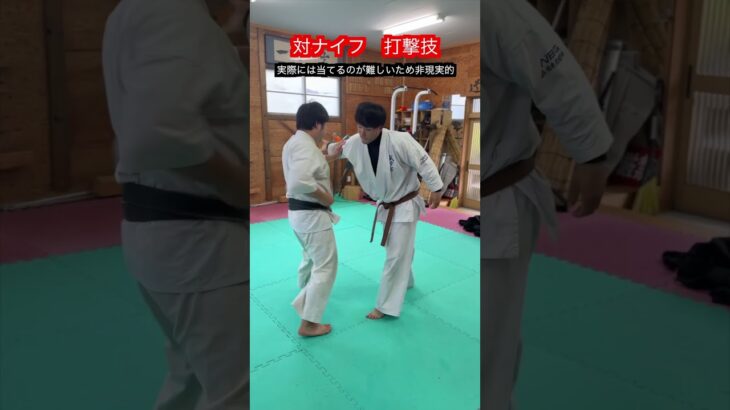 【空手】対ナイフの打撃技　解説！！　#aikido ＃karate #martial #武道 ＃#空手＃合気道＃筋トレ#selfdefens