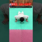 【武道・格闘技】重要な瞬発力を鍛えるトレーニング　解説！！　#aikido ＃karate #martial #武道 ＃#空手＃合気道＃筋トレ#selfdefens