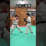 【ストリートファイター】リュウの必殺技　やってみた！！　#ストリートファイター５＃リュウ＃karate #martial #武道 ＃#空手＃合気道＃筋トレ#selfdefens