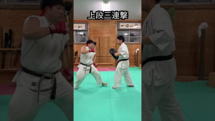 【ストリートファイター】リュウの必殺技　やってみた！！　#ストリートファイター５＃リュウ＃karate #martial #武道 ＃#空手＃合気道＃筋トレ#selfdefens