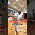 足蹴りコンボ #琉球空手 #karate #琉球古武術 #琉球古武道 #伝統空手 #martialarts #沖縄空手