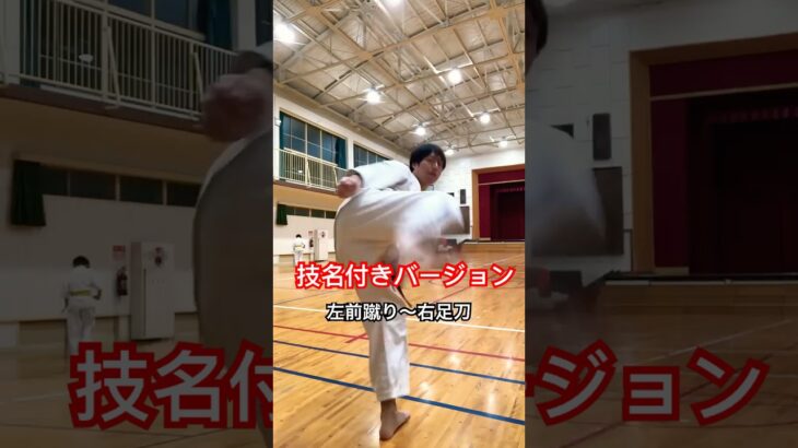 足蹴りコンボ #琉球空手 #karate #琉球古武術 #琉球古武道 #伝統空手 #martialarts #沖縄空手