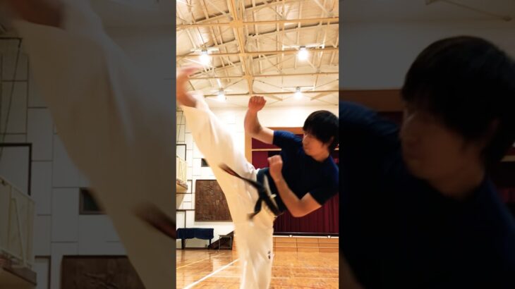 琉球空手シャドー #琉球空手 #karate #琉球古武術 #martialarts #伝統空手 #琉球古武道 #沖縄空手