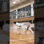 琉球空手道三日月蹴り(裏回し蹴り) #琉球古武術 #karate #沖縄空手 #martialarts #琉球古武道 #伝統空手 #防具空手 #琉球空手