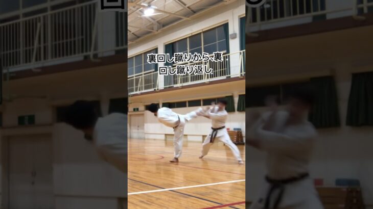 琉球空手道三日月蹴り(裏回し蹴り) #琉球古武術 #karate #沖縄空手 #martialarts #琉球古武道 #伝統空手 #防具空手 #琉球空手