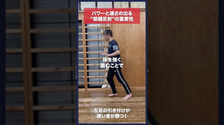 【剣道】速さとパワーの出る“筋腱反射”を使った足さばき #kendo #shorts