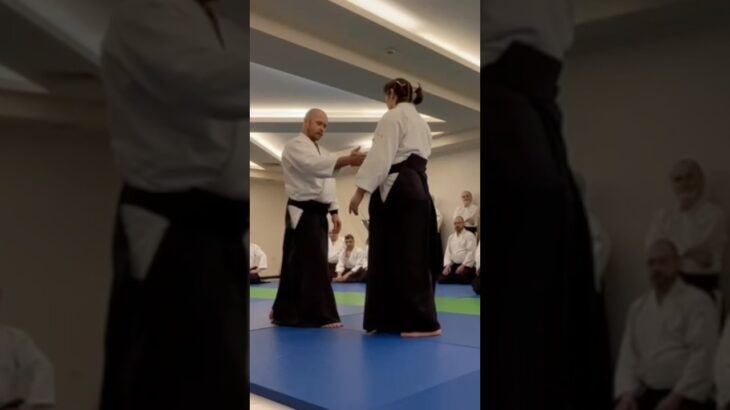 一教の崩し      #martialarts #合気道 #武道 #aikido