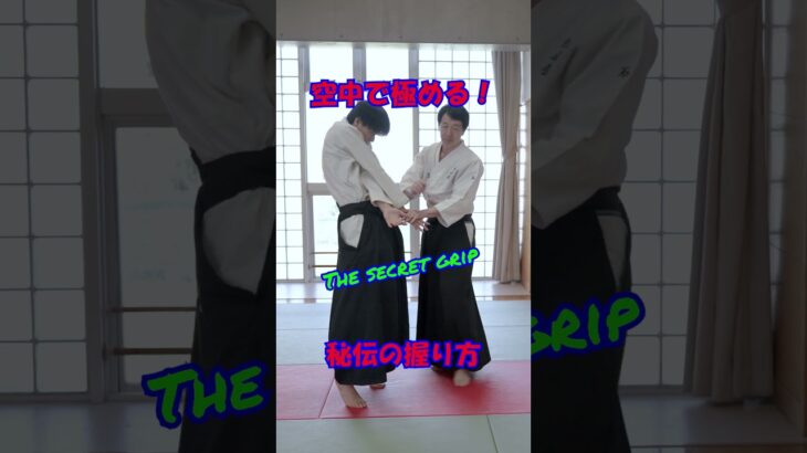 空中で極める！秘伝の握り方　#martialarts #大東流合気柔術 #扶桑会 #合気道 #護身術 #aikido #daitoryu #karate  #空手