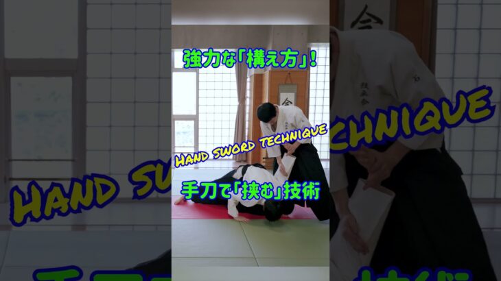 「構える」だけで無力化できる⁉手刀で「挟む」技術　#martialarts #大東流合気柔術 #扶桑会 #合気道 #護身術 #aikido  #daitoryu #karate #古武道  #空手