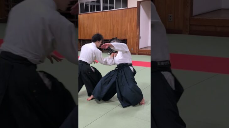 10/16 合気道加藤道場稽古風景 #aikido #katohdojo #budo #合気道 #加藤道場 #武道